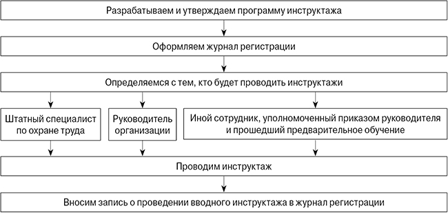 алгоритм_вводный инструктаж.jpg